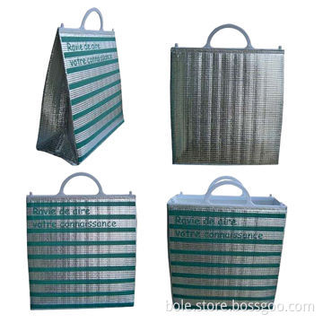 Insulated Cooler Bag with Plastic Handle, Suitable for Picnic and Beach Bag